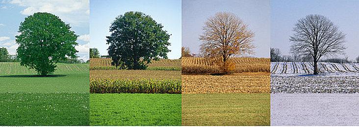 《使命召唤21》外挂嚣张 能反过来举报正常玩家